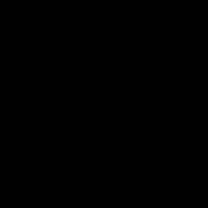 Meet your Posher, Frankie